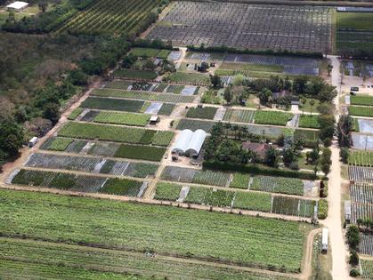 <b>Almond Trees</b> <br />
30300 SW 205 AVE. HOMESTEAD, FL. 33030