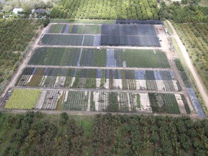 <b>Camilla 5</b> <br />
26801 SW 172 AVE. HOMESTAED, FL. 33031