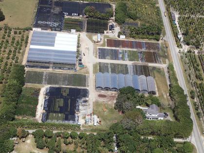 <b>Naranja</b> <br />
20990 SW 147 AVE. HOMESTAED, FL. 33187